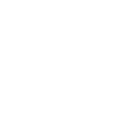 Income Guardrail Strategies
