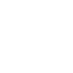 Rollovers and Conversions
